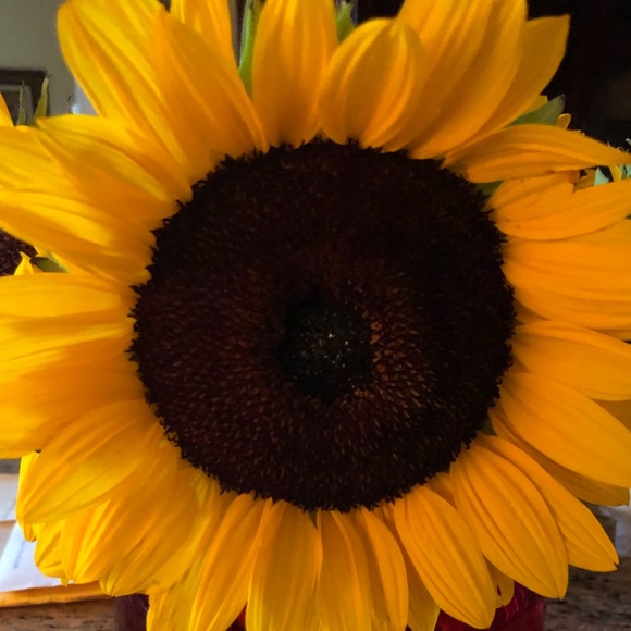 HELLO AND WELCOME @heresanidea4you ™️ - Picture 2 of 2